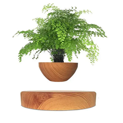 Levitating bonzai pot